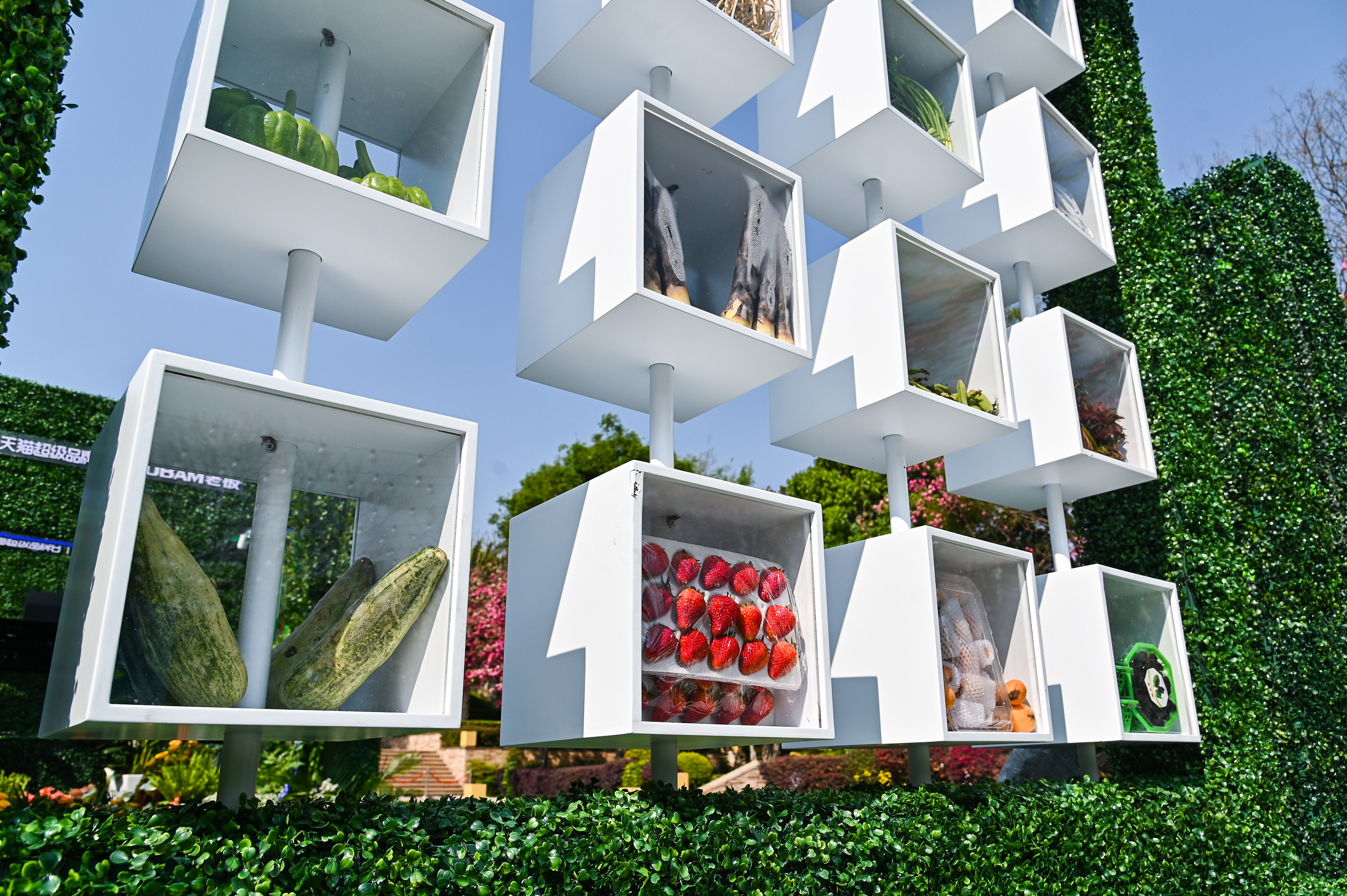 等会用来烹饪的食材！